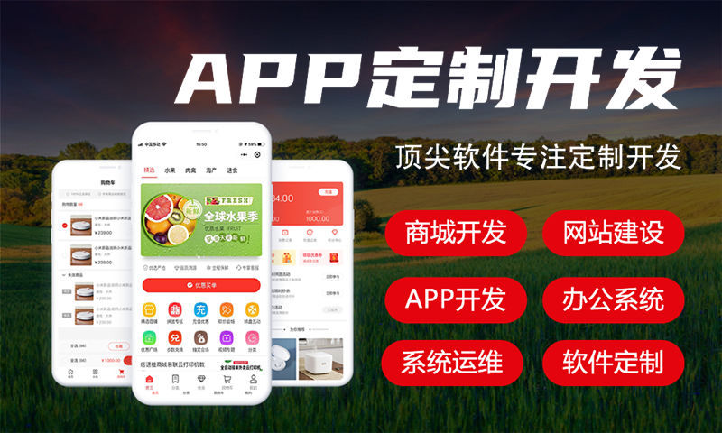 合肥二二复制公排滑落商城模式软件开发 助力企业数字化转型