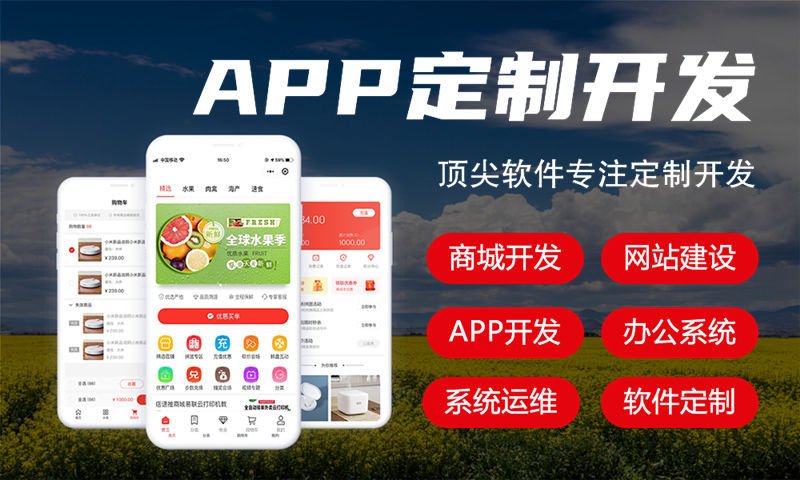 上海复购见单三三复购小程序开发软件：企业数字化转型的高效解决方案