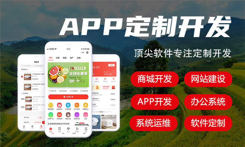 上海元气甄选模式介绍开发解决方案：助力企业高效运营的数字化转型利器