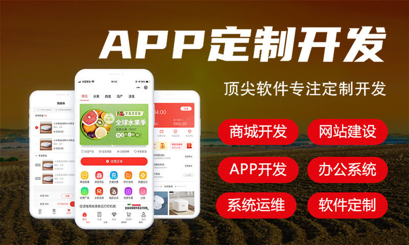 郑州十二星三三复制系统商城开发（APP软件）开发解决方案：助力企业数字化转型
