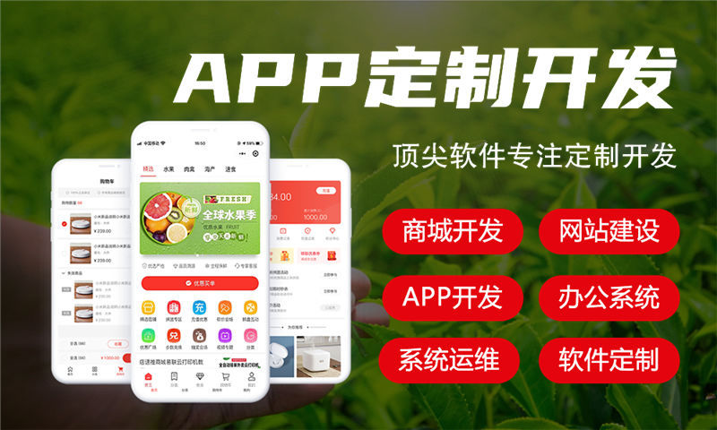 成都复购见单三三滑落系统开发软件：企业数字化转型的高效解决方案