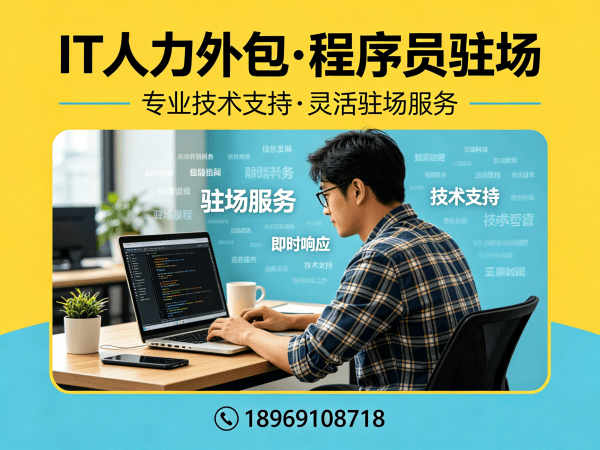 天津IT人力外包解决方案：破解企业技术人才招聘难题